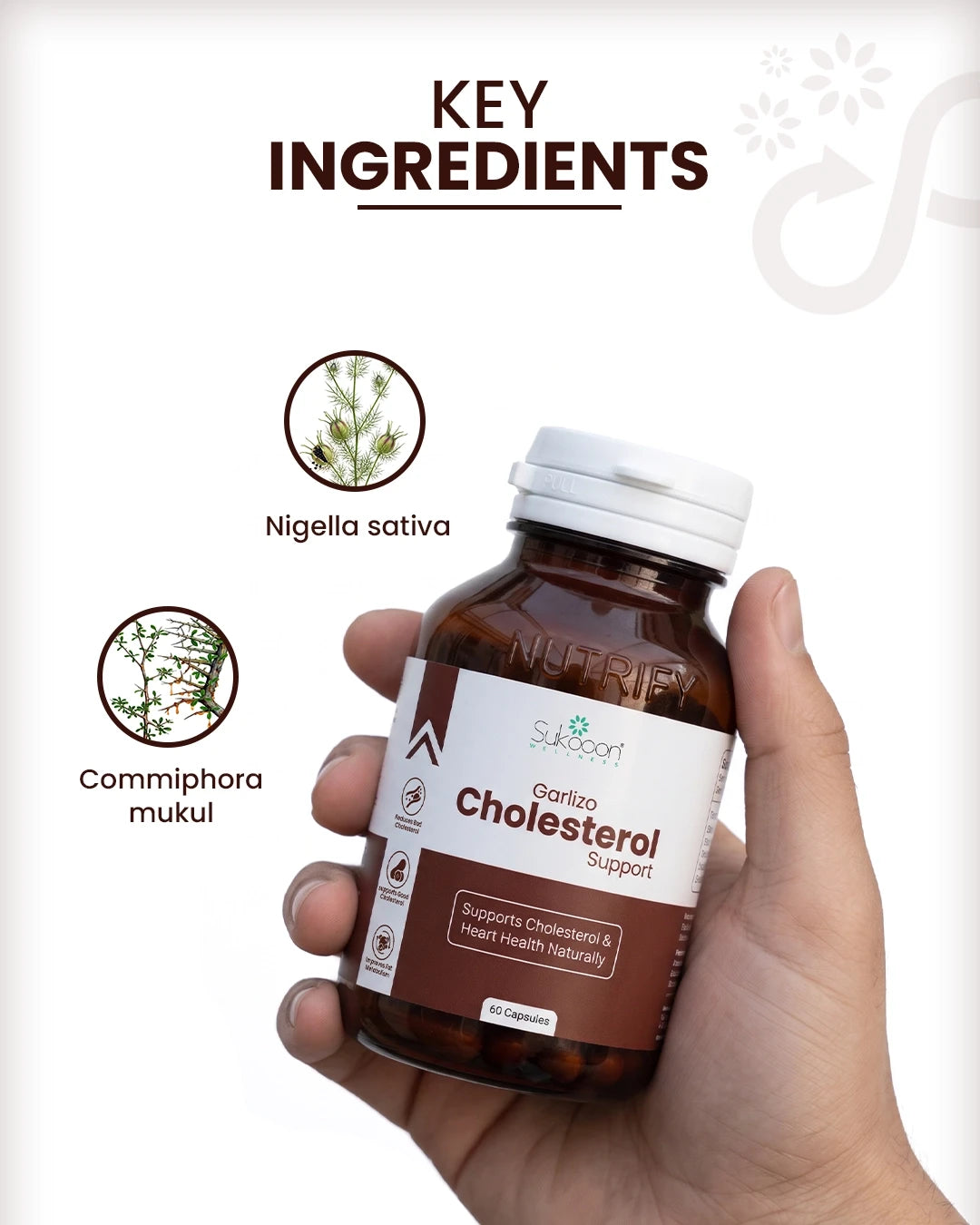 Garlizo – Cholesterol & Heart Health Support