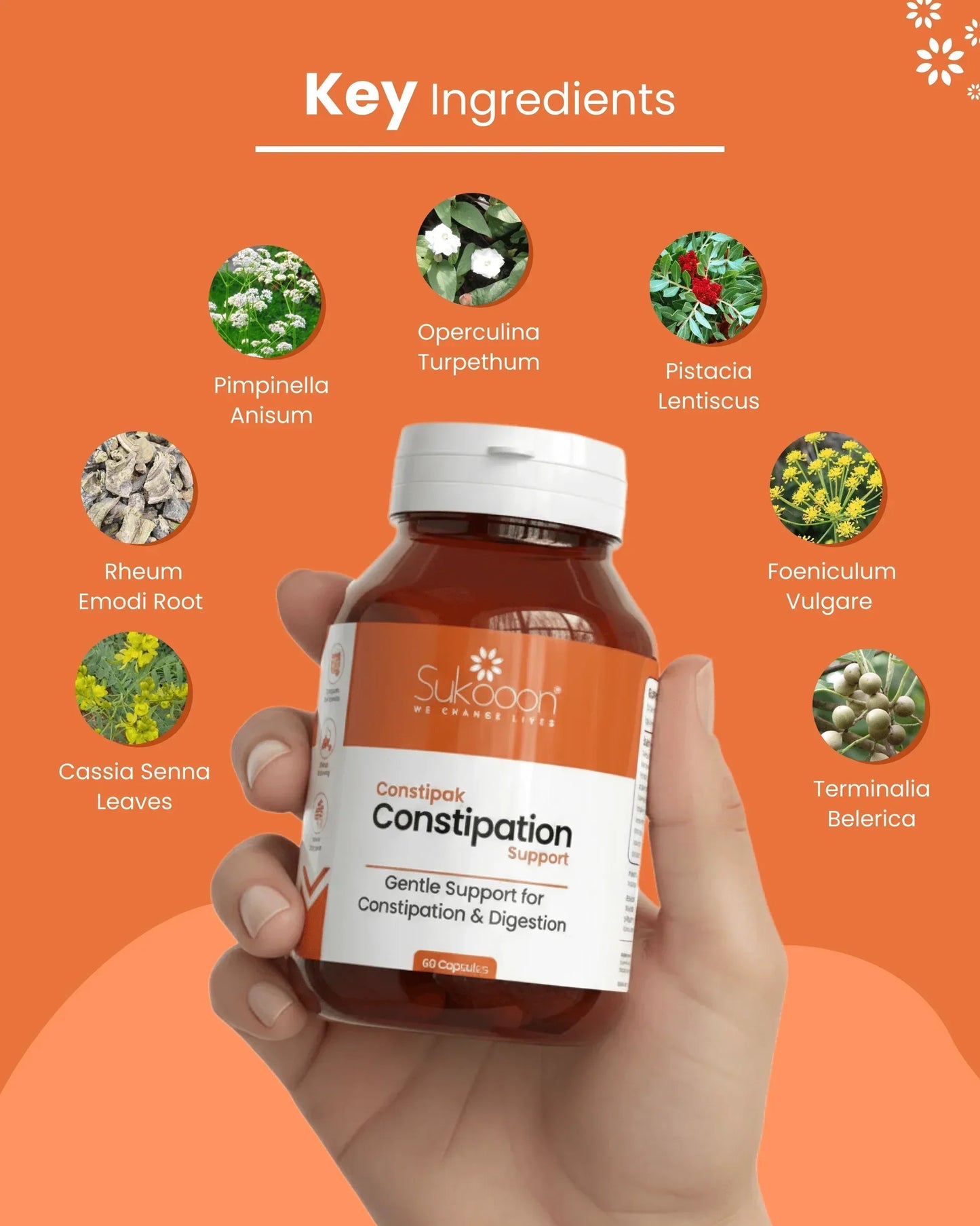 Constipak