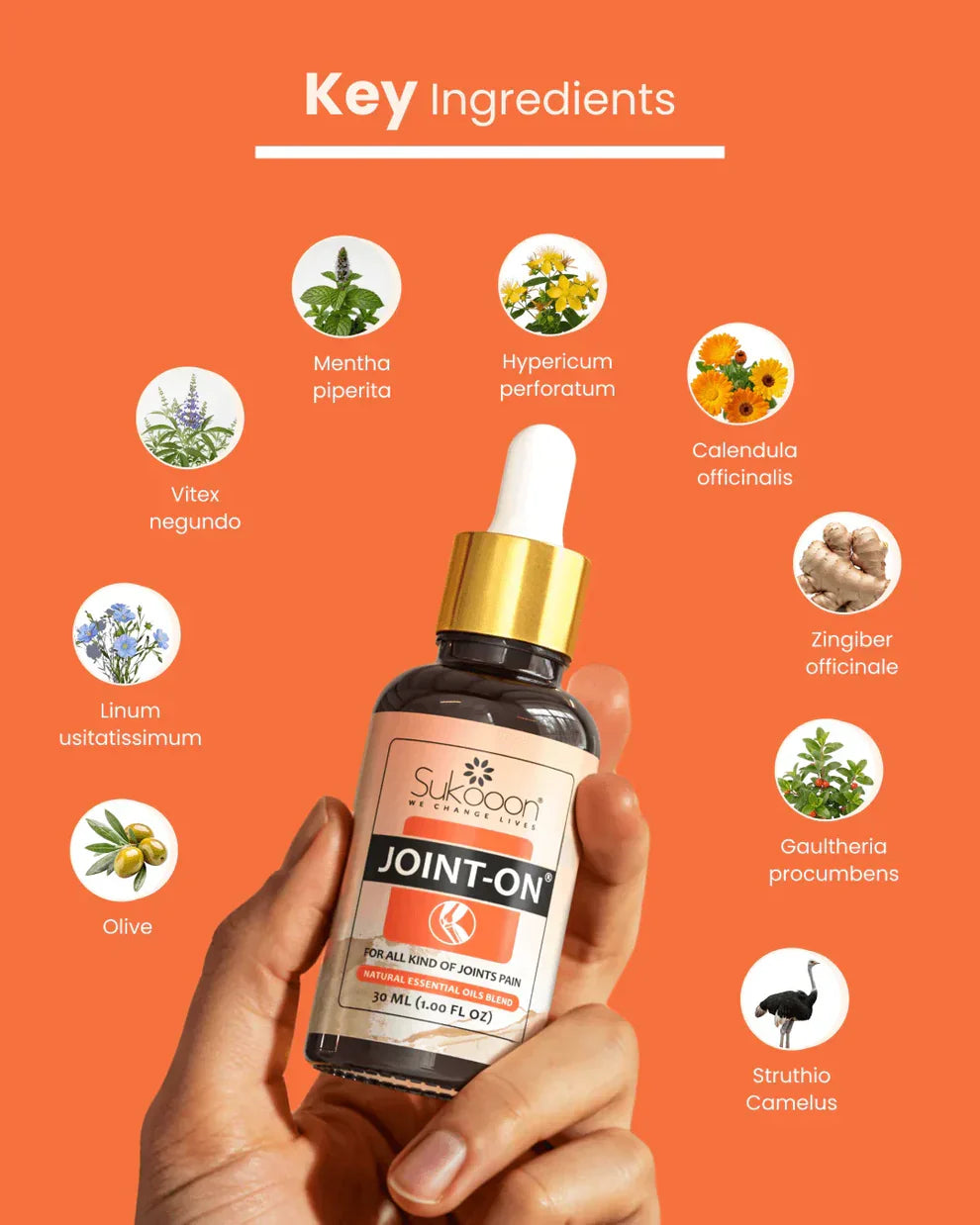 JOINT ON | For Joints, Knee & Back Pain